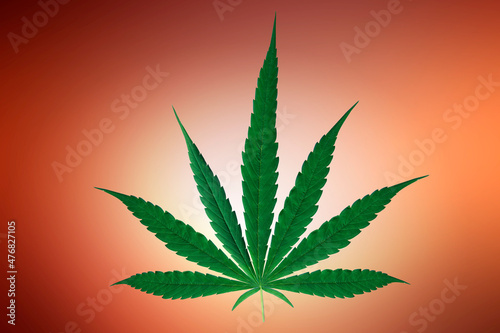 cannabis leaf brown background, Clipping path