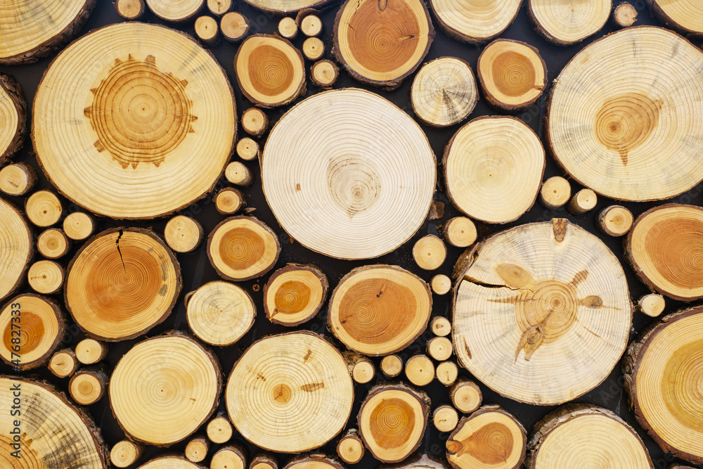 A round cut wood close-up, natural texture and background. A round cut wood close-up, natural texture and background.