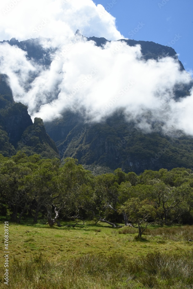 Obraz premium Plaine des Tamarins, Cirque de Mafate, île de la Réunion, Océan Indien