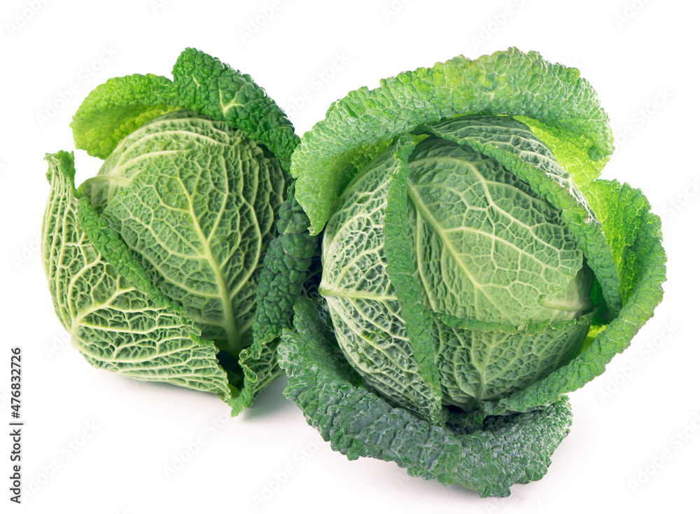 Fototapeta premium Savoy Cabbage heads Isolated on White Background