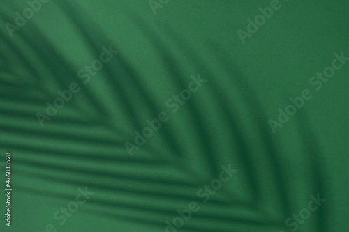 Wallpaper Mural 초록배경과 야자수 그림자 Torontodigital.ca