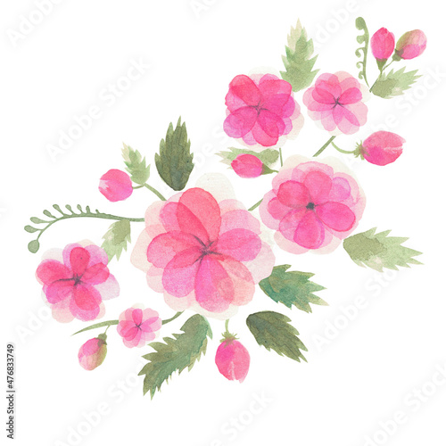 Watercolor transparent flower set  isolated on white collection of flowers buds  leaves  branches  a bunch of pastel pink  botanical illustration for postcards  packaging decor  wedding design