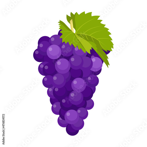 Flat vector of Grape isolated on white background. Flat illustration graphic icon