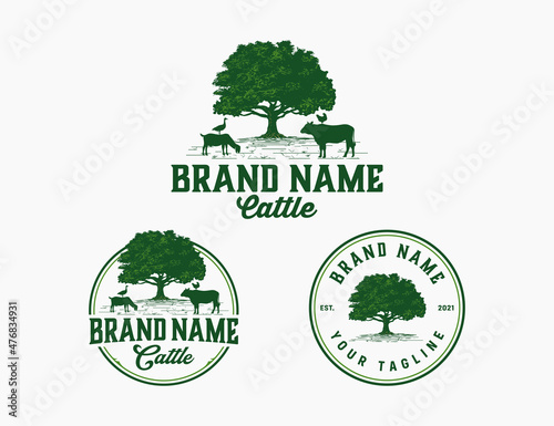 Cattle farm logo template