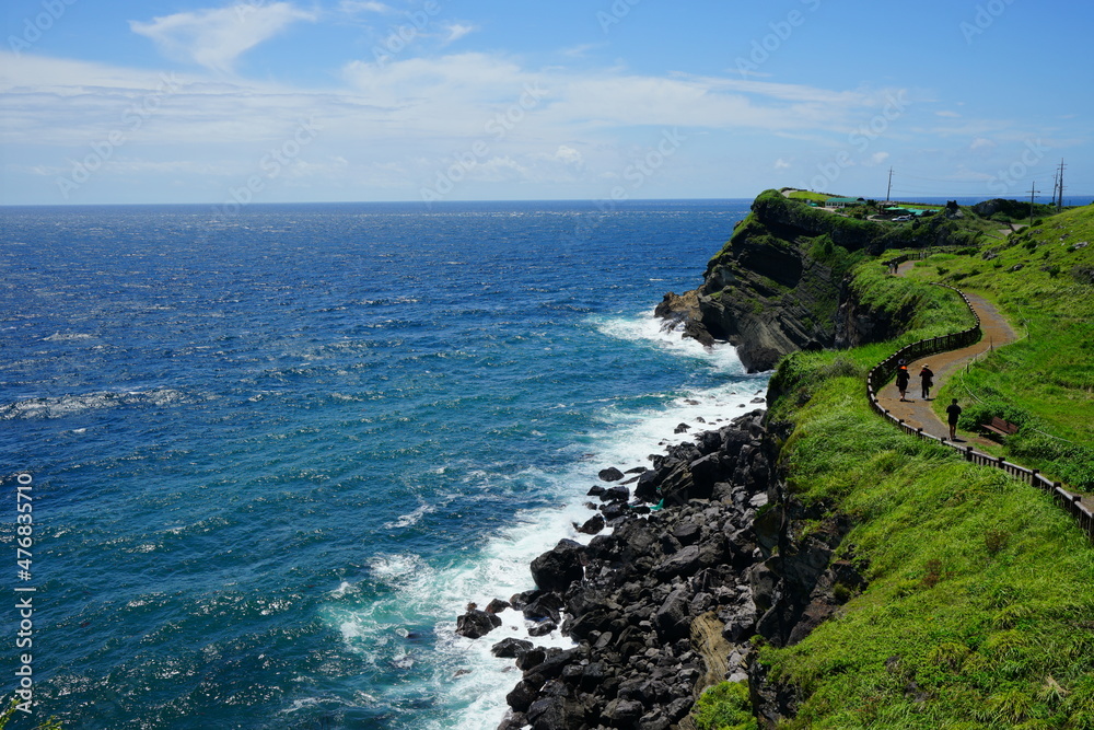 a wonderful walkway at seaside cliff