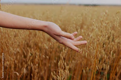 human hand outdoors countryside wheat crop Lifestyle