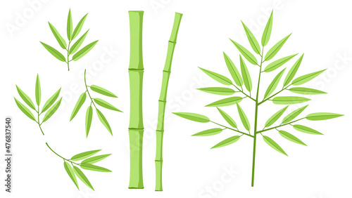 Fototapeta Naklejka Na Ścianę i Meble -  Illustration with collection of bamboo on a white background. Hand drawn illustration with bamboo stem and leaves. Set of bamboo tree leaves. Botanical collection. Shapes of bamboo plants for design