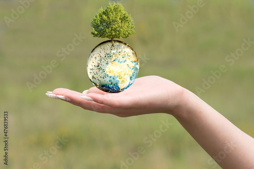 Planet Erde, Baum und Umweltschutz photo