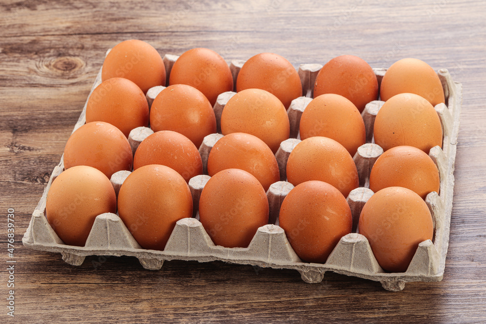 Organic chicken egg in the carton Organic chicken egg in the carton