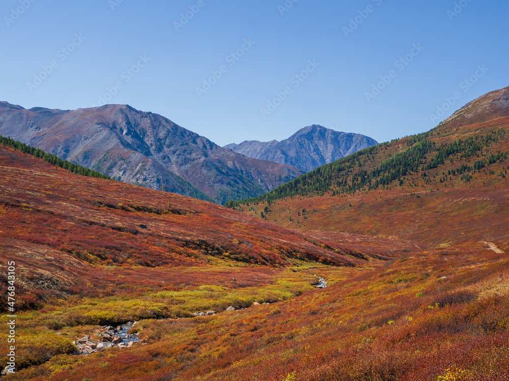 Bright autumn on a mountain plateau. Beautiful mountain valley in autumn. Warm autumn day with clear weather in the highlands.