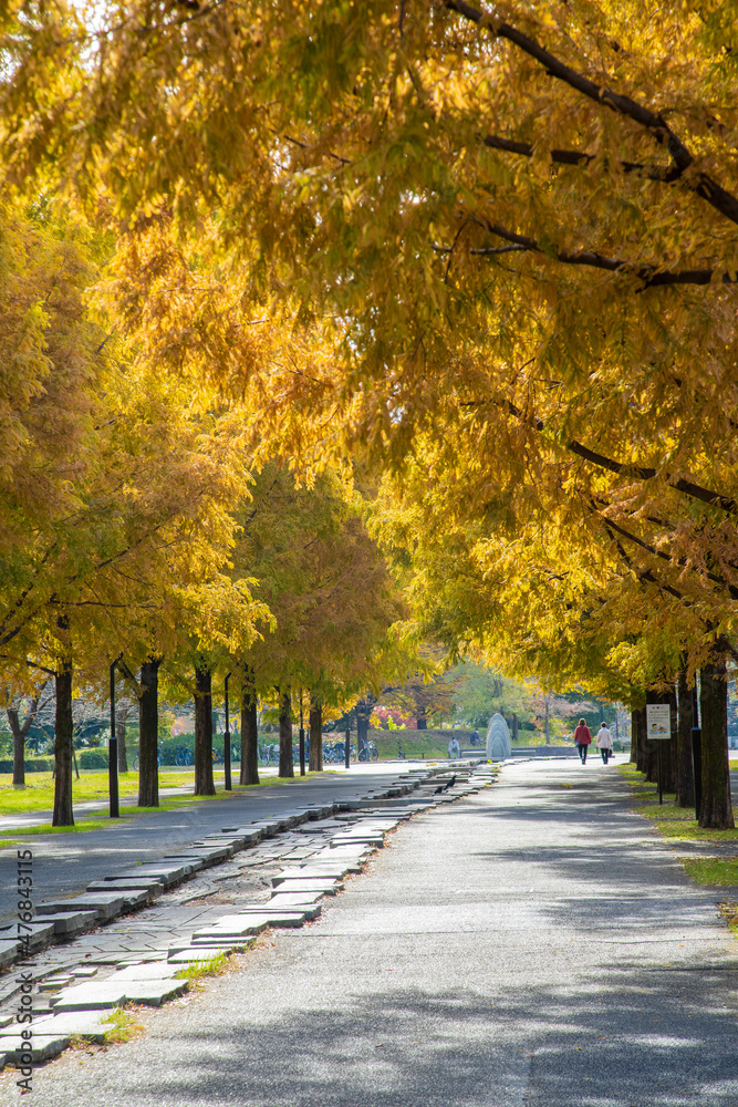 Naklejka premium 舎人公園