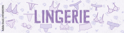 Header for websites about lingerie - female underwear. Blue outline icons of women's bras, panties, shapewear, bathrobe. Different stiles of undies. Horizontal panoramic line art illustration, vector