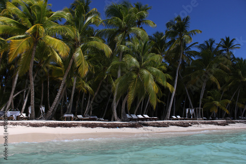 Beach with palm trees and sun loungers for relaxation. Saona Island in the Dominican Republic