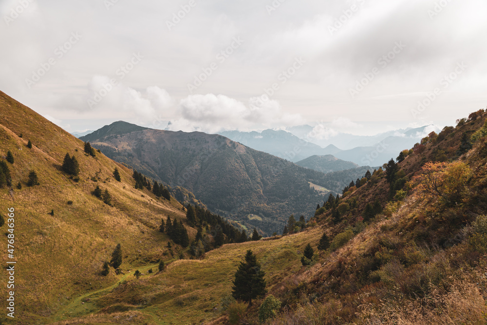 Colors are exploding in the woods of Carnic Alps Colors are exploding in the woods of Carnic Alps
