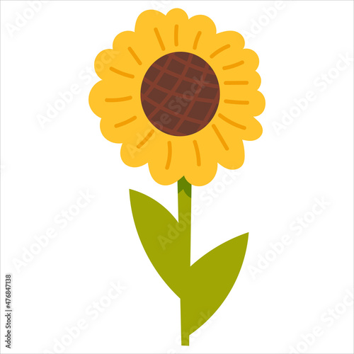 Sunflower plant in cartoon style isolated on white background, farm animal, rural lifestyle concept