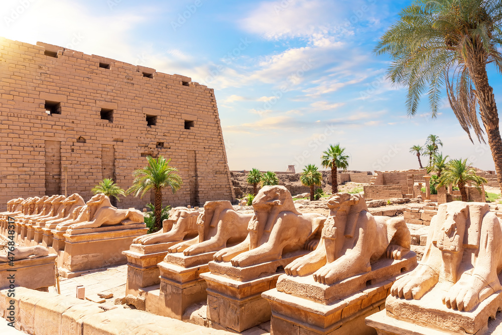 Avenue of Sphinxes or The King s Festivities Road, ram-headed statues of Karnak Temple, Egypt