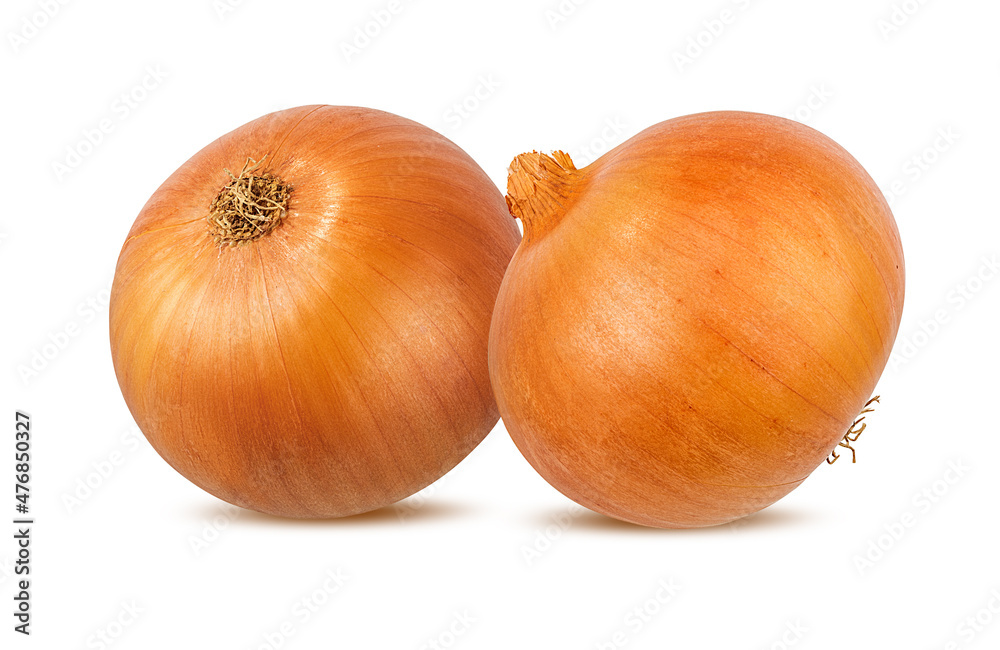 onion  isolated on white background