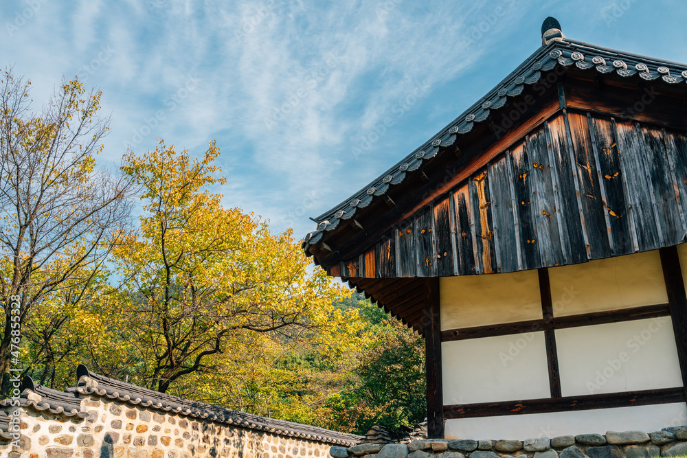 Autumn of Uam Historic Park in Daejeon, Korea Autumn of Uam Historic Park in Daejeon, Korea