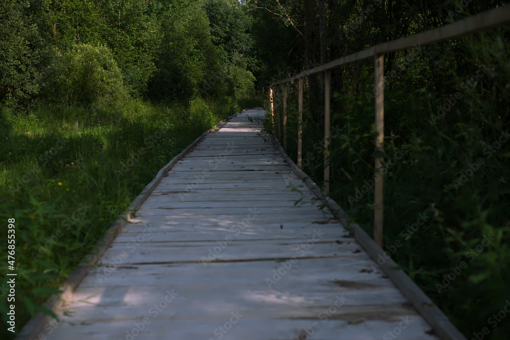 A wooden path in a swampy area in the High Swamp in Belarus. a metaphor for life, everyone goes their own way. allegory of the path of life. ecotrail in bogs in Belarus A wooden path in a swampy area in the High Swamp in Belarus. a metaphor for life, everyone goes their own way. allegory of the path of life. ecotrail in bogs in Belarus
