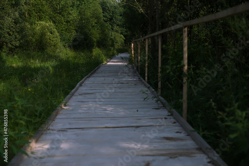 A wooden path in a swampy area in the High Swamp in Belarus. a metaphor for life  everyone goes their own way. allegory of the path of life. ecotrail in bogs in Belarus