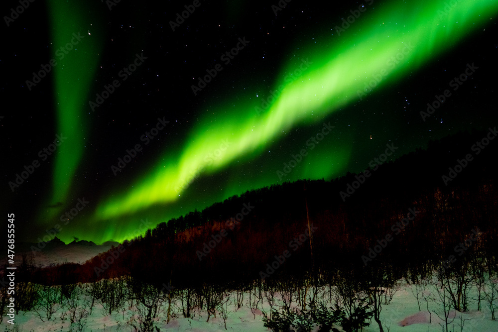 Northern Lights with snowy mountains in the background- Landscape Photography