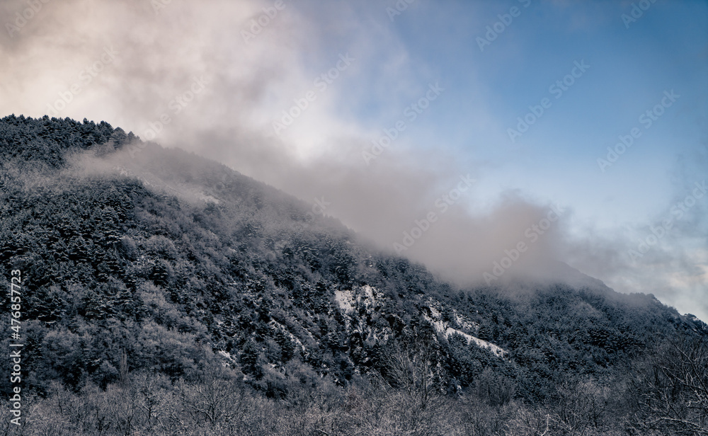 Montaña con rboles nevados con un bonito cielo azul y niebla