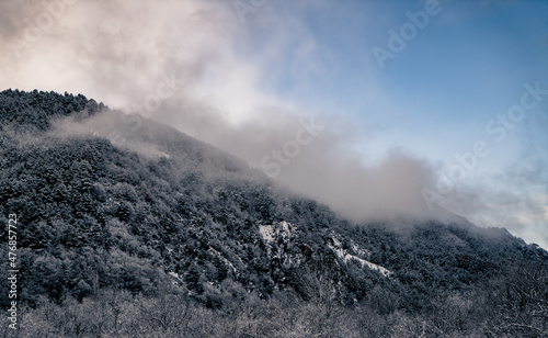 Montaña con rboles nevados con un bonito cielo azul y niebla photo