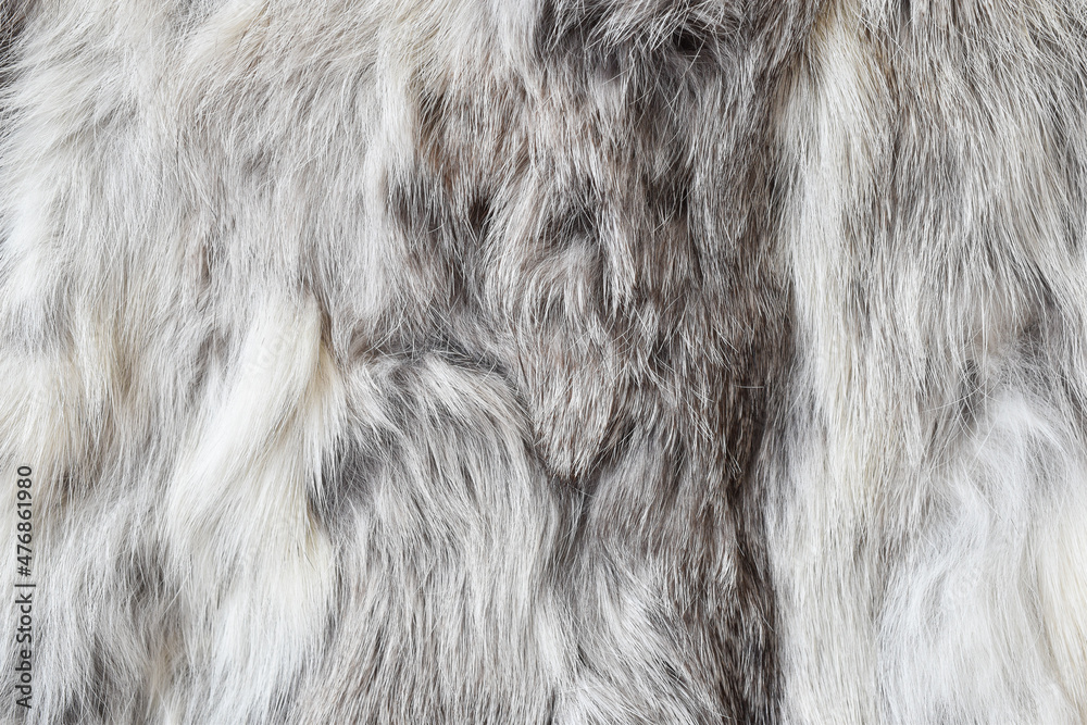 Beautiful abstract fluffy gray fur background texture.