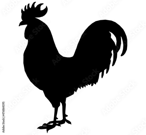 Fotografia Rooster icon, cock black silhouette isolated on white background