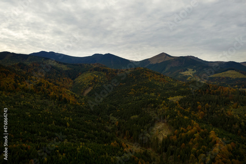 Aerial view of beautiful mountain forest on autumn day