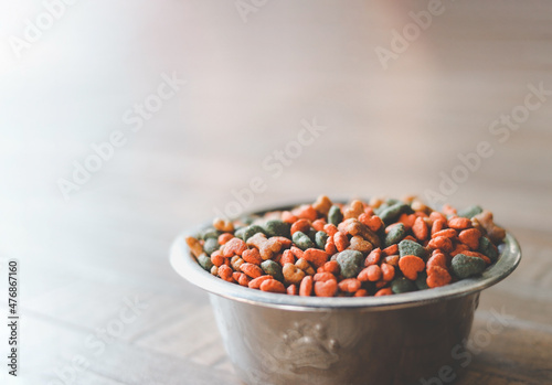 dry  pet food in metal bowl Copy space.