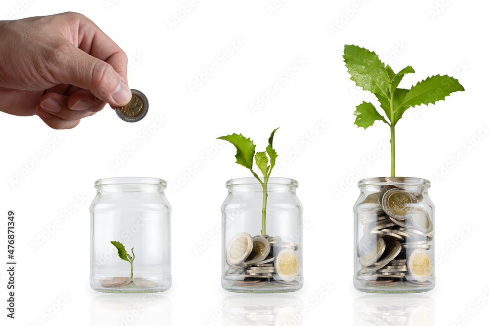 Investment, saving money and finance growth business concept. Investment, saving money and finance growth business concept.
