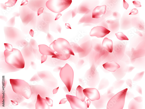 Pink sakura flower flying petals isolated on white vector background.