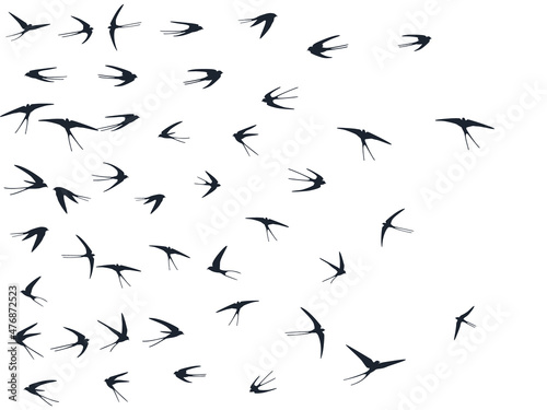 Flying swallow birds silhouettes vector illustration. Nomadic martlets group isolated on white.