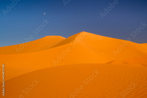 Sahara noon. Algeria sand dunes