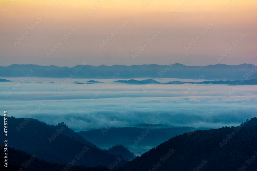 Morning fog in dense tropical rainforest ,Misty forest landscape at Salavin national park