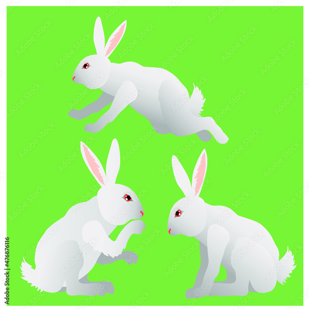 easter bunny rabit with eggs easter bunny rabit with eggs