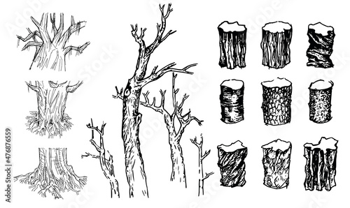 Collection of sketch tree twigs, broken trunks vector set.