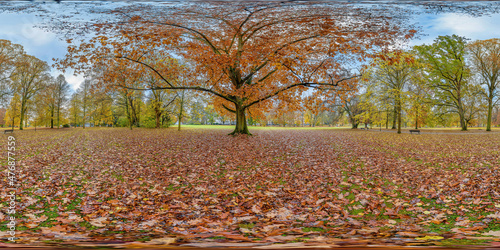 Quadro su tela old oak in Bad Homburg Kurpark in autumn vr panorama 360° x  180° enviroment