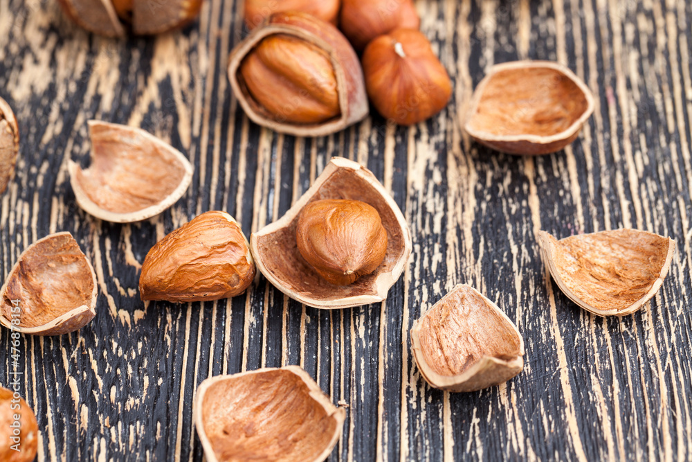 split hazelnuts on the table split hazelnuts on the table