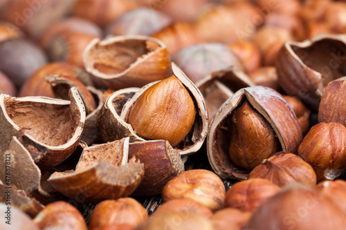 split hazelnuts on the table photo