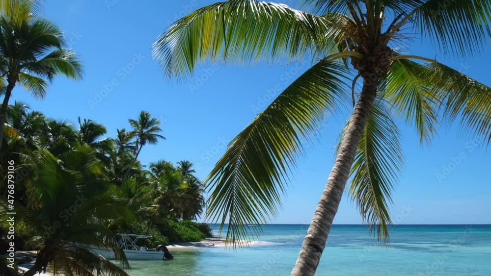 Ocean view showing a sailboat passing by in the Caribbean with palm branches in the foreground.
Tropical island. Summer and winter vacations Ocean view showing a sailboat passing by in the Caribbean with palm branches in the foreground.
Tropical island. Summer and winter vacations