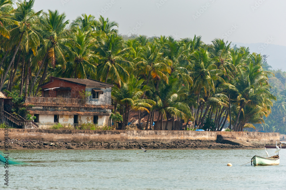 Old house and palm trees on the coast of Goa.. - obrazy, fototapety, plakaty 