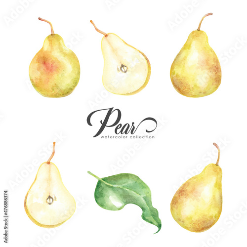 Yellow pear style watercolor collection