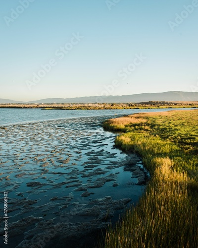 Wetlands at Baylands Nature Preserve, in Palo Alto, California photo