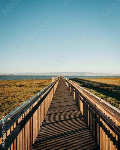 Marsh boardwalk trail at Baylands Nature Preserve  in Palo Alto  California