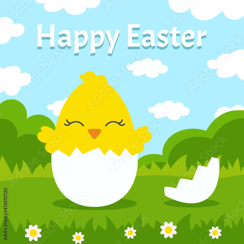 A cute little chicken hatched from an egg in a green meadow. Summer day. Colored flat vector illustration isolated on color background. Cartoon character. Beautiful gift card.
