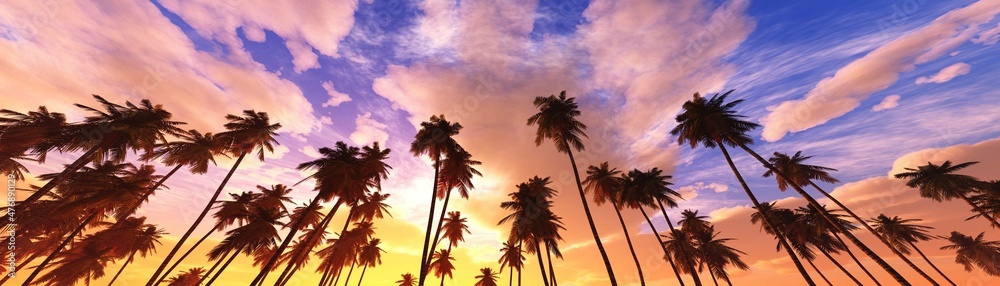 Palm trees against the sky, a row of palms in the clouds, 3D rendering