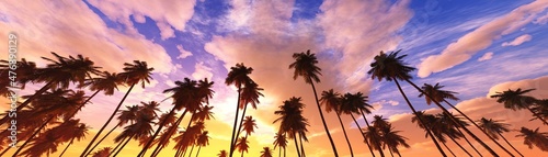 Palm trees against the sky, a row of palms in the clouds, 3D rendering