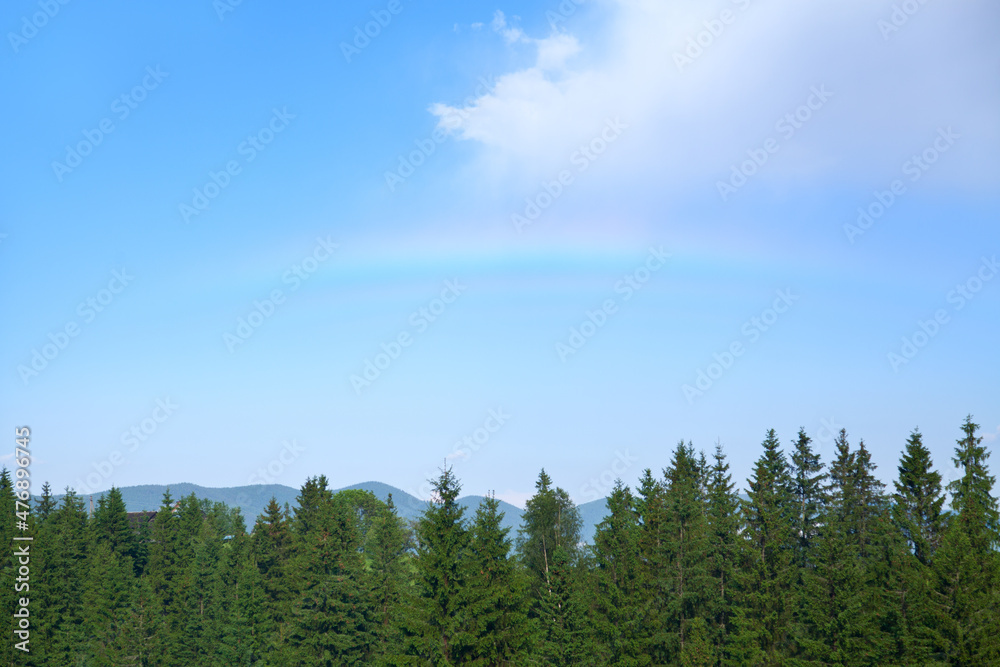 Rainbow above spruce forest and mountain range.